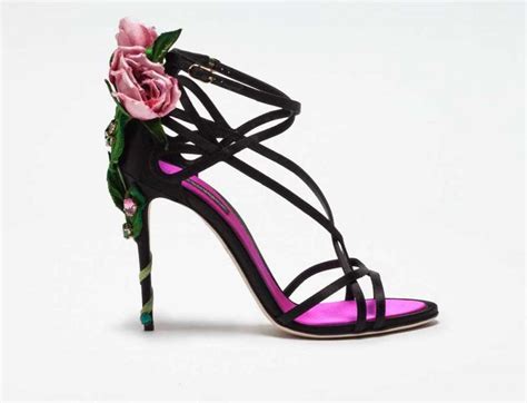 drezzy scarpe dolce gabbana